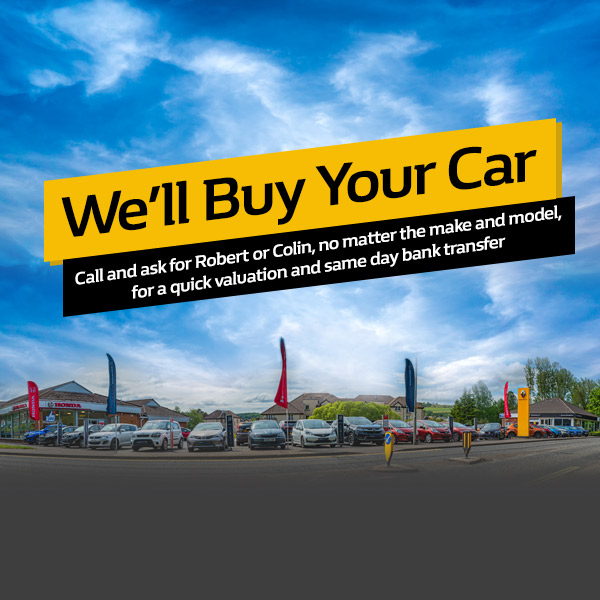 We’ll Buy Your Car - detail page